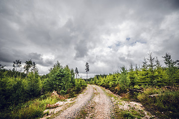 Image showing Cloudy weather over a dirt road