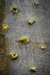 Image showing Climbing wall with yellow handles