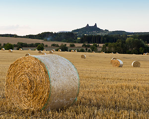 Image showing Summer landscape with field and Trosky Castle, Czech Republic