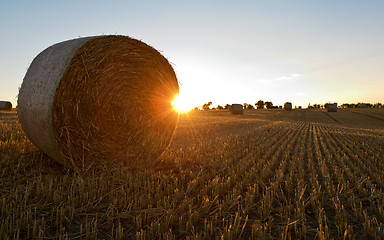 Image showing Straw packs in a field in the evening