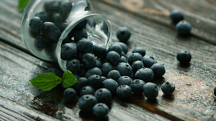 Image showing Blueberry scattering out of jug 