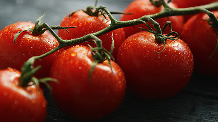 Image showing Ripe cherry tomatoes with drops on branch 