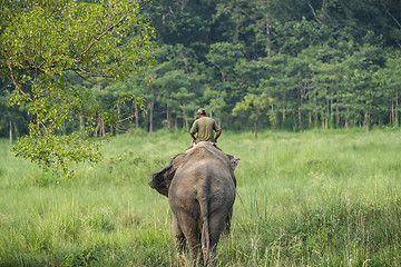 Image showing Mahout or elephant rider riding a female elephant