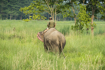 Image showing Mahout or elephant rider riding a female elephant