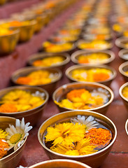 Image showing Buddhist flower offerings or gifts in bowls and rows