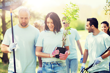 Image showing group of volunteers with trees and rake in park