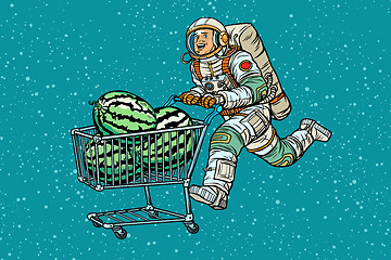 Image showing Astronaut buys watermelons. shopping cart trolley sale