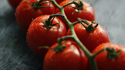 Image showing Twig with ripe red tomatoes