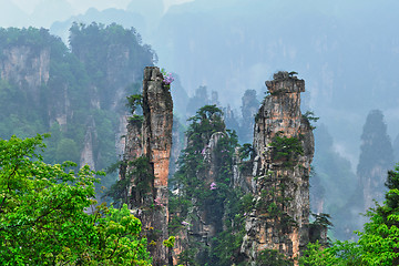 Image showing Zhangjiajie mountains, China