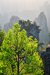 Image showing Zhangjiajie mountains, China