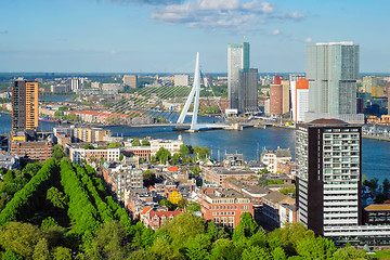 Image showing View of Rotterdam city and the Erasmus bridge