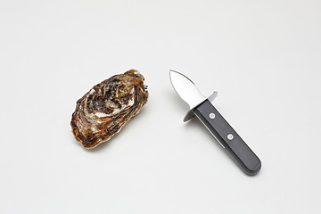 Image showing Oyster and Shucker