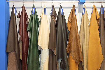 Image showing Leather Pelts