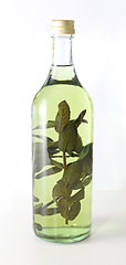 Image showing Herbs Brandy