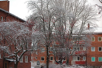 Image showing Winterday