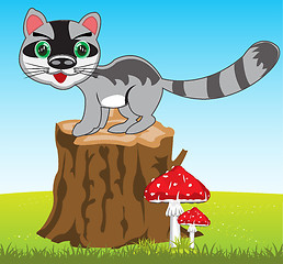 Image showing Cartoon of the wildlife racoon on nature