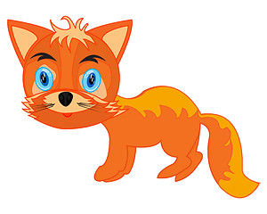Image showing Wildlife fox on white background is insulated
