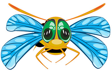 Image showing Vector illustration insect bee on white background