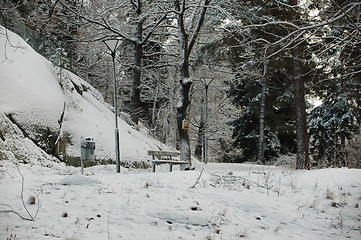 Image showing Winterday