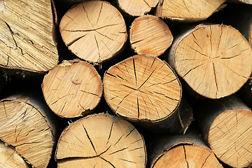 Image showing Firewood pile stacked chopped wood trunks