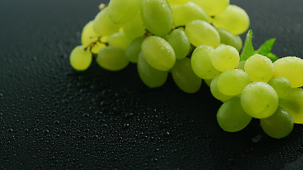 Image showing Green grapes on wet table 