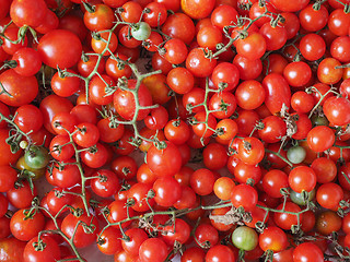 Image showing Cherry tomato vegetables