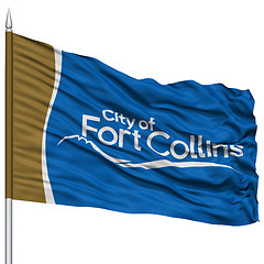 Image showing Fort Collins City Flag on Flagpole, USA