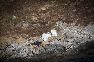 Image showing Collecting Plastic Waste