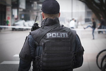 Image showing Norwegian Armed Police