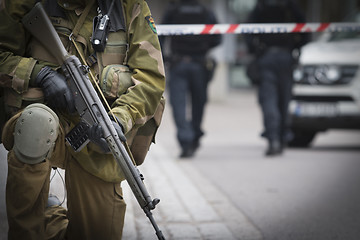 Image showing Norwegian Soldier and Norwegian Police