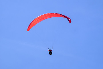 Image showing Paraglider in the sky