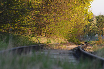 Image showing Disused railway tracks