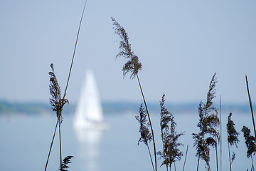 Image showing Chiemsee with boat
