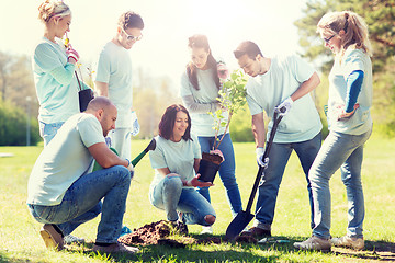 Image showing group of volunteers planting tree in park