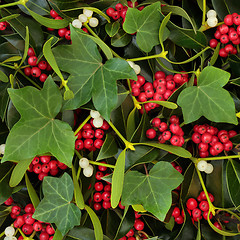 Image showing Holly Ivy and Mistletoe Winter Greenery