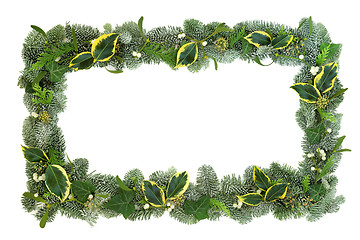 Image showing Winter Flora Background Border