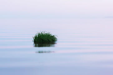 Image showing Smooth White Water Surface Background With Grass Island