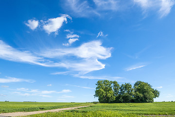 Image showing Summer landscape with magical cloud figures