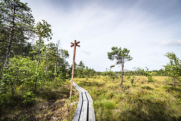 Image showing Long wooden nature trail going through a bog