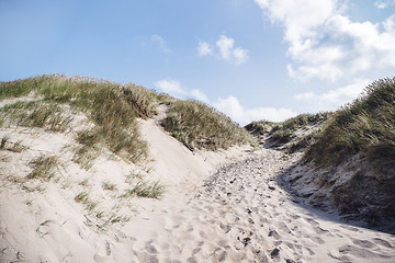 Image showing Footsteps in the sand on a beach with lyme grass