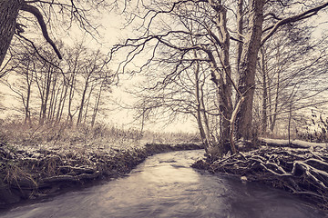 Image showing River running through a forest in the wintertime