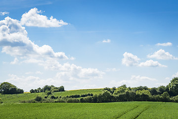 Image showing Green fields in rural environment in the spring