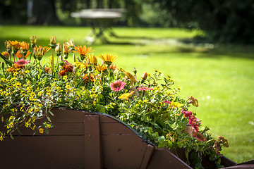 Image showing Colorful flowers in a wooden wheelbarrow