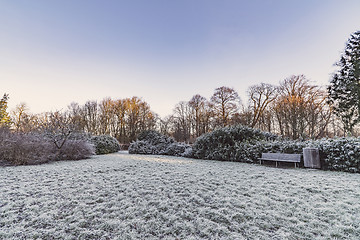 Image showing Park in the winter with a wooden bench