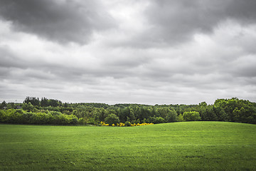 Image showing Cloudy weather over a rural green field