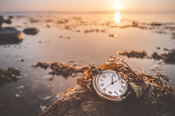 Image showing Antique pocket watch on a rock by the sea