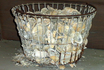 Image showing Empty oyster shells.