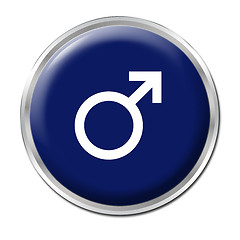 Image showing Male Button