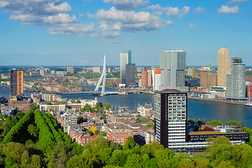 Image showing View of Rotterdam city and the Erasmus bridge 