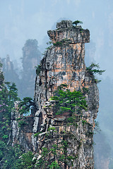 Image showing Zhangjiajie mountains, China